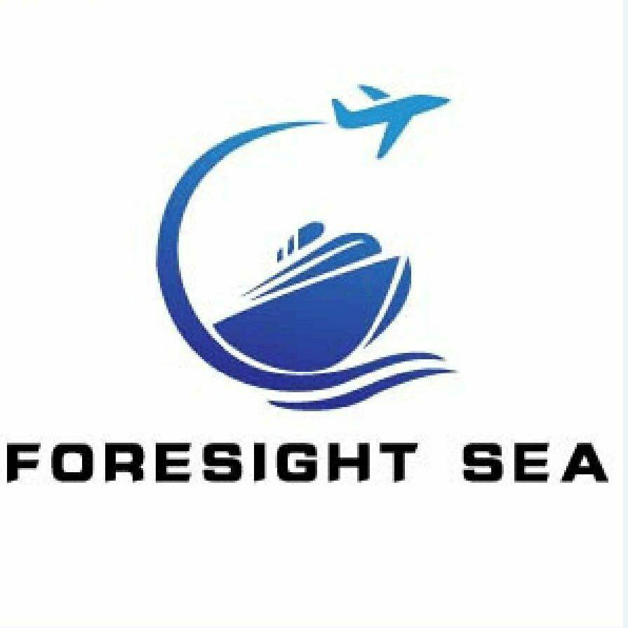 远见海国际货运