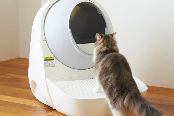 图片 中国智能猫砂盆,如何横扫119个国家?