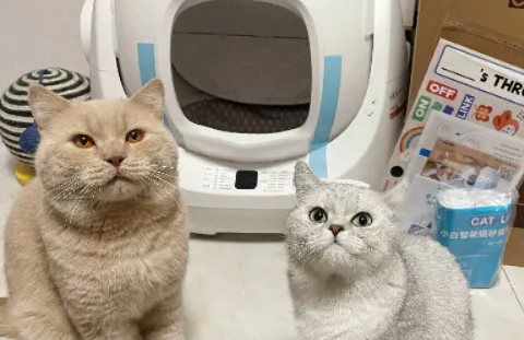 图片 中国智能猫砂盆,如何横扫119个国家?