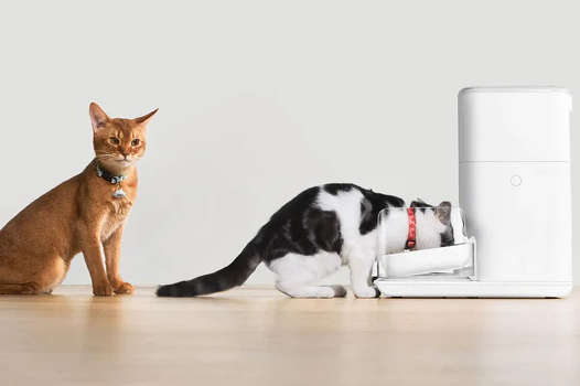 图片 中国智能猫砂盆,如何横扫119个国家?